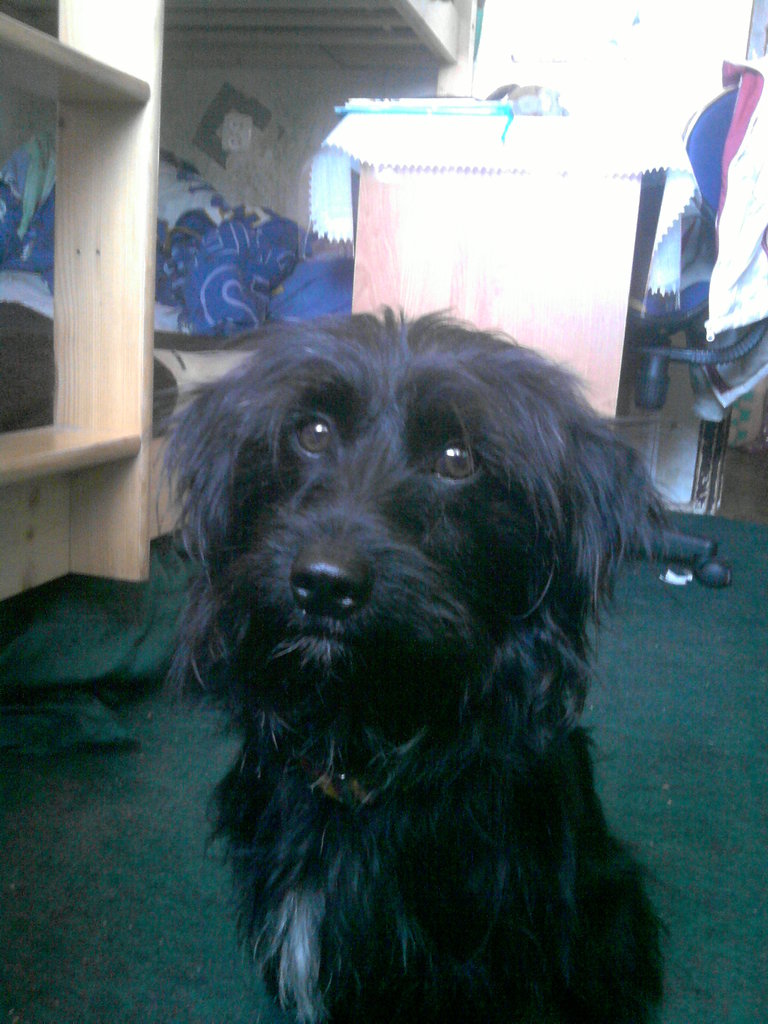 Mj Max  . &#9829;.&#982