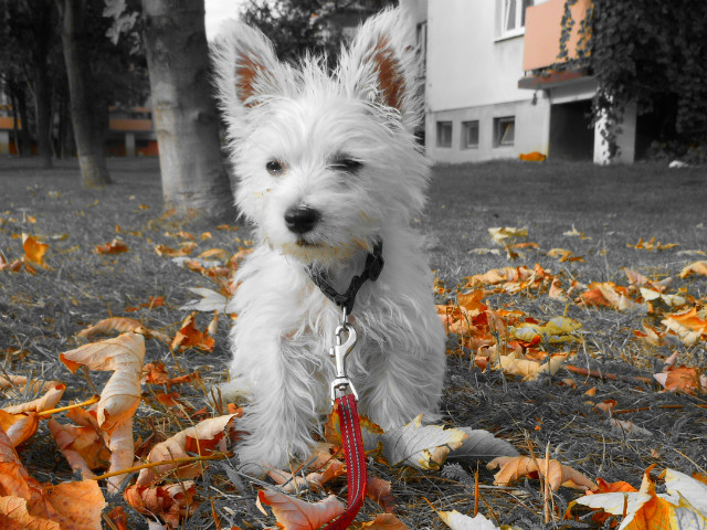A takie tam ;)