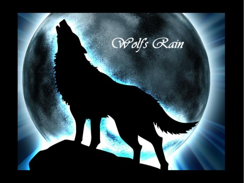 Wolfs rain