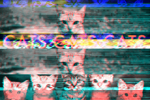 13.