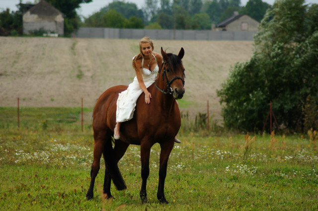 ^^Alicjowo^^
