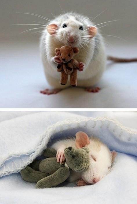 Aww *-*