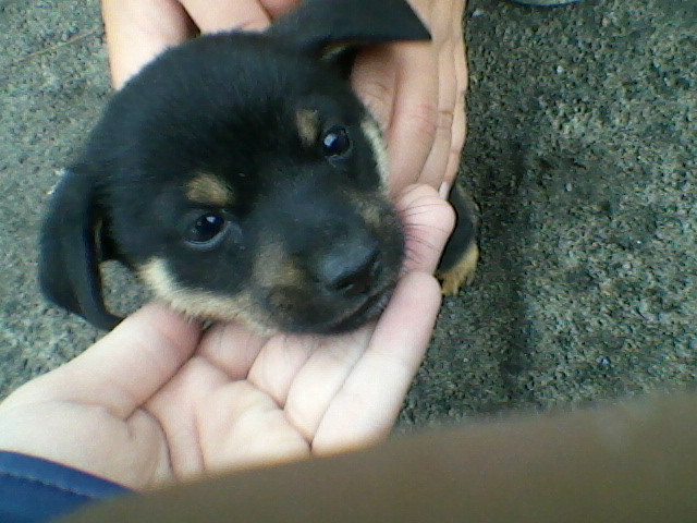 Sooodycz < 3