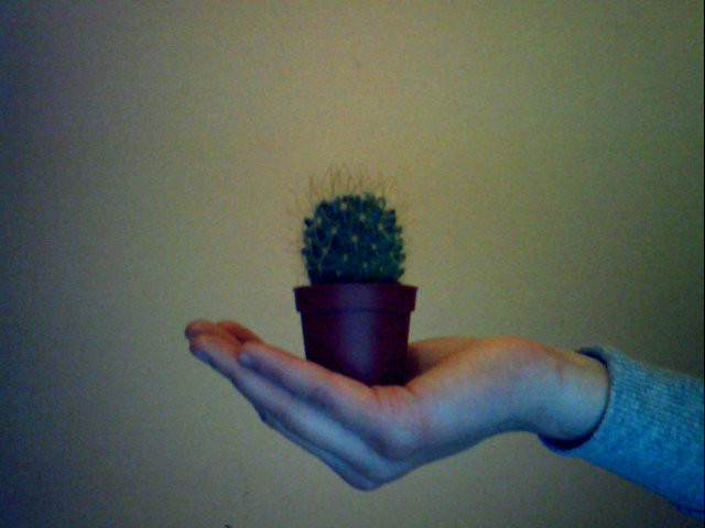 3. Przepis