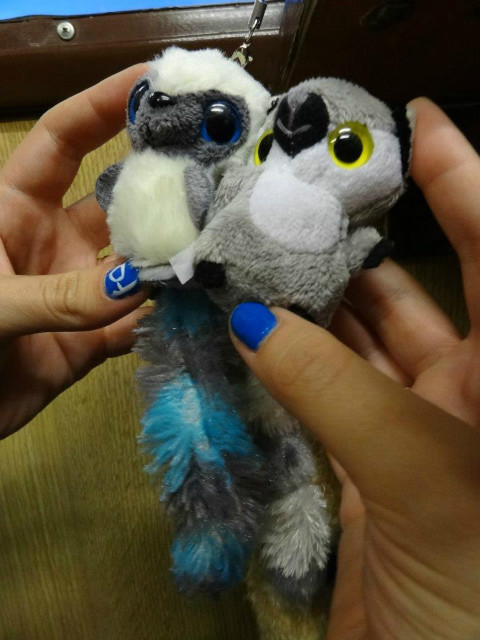 zmutowane lemurki