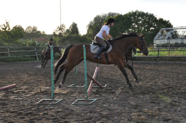 Wera