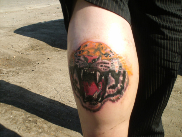tiger