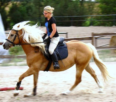 Areczka