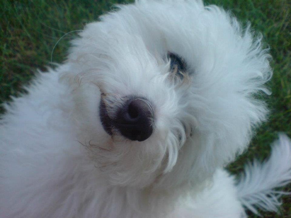 Mooje kochanie ;***