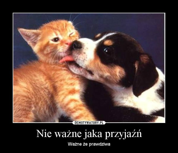 Omomom  ;3