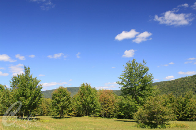 Grski Widok