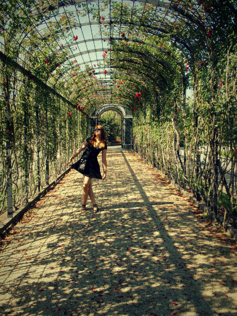 Vienna wait for you