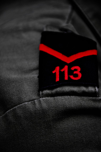 113