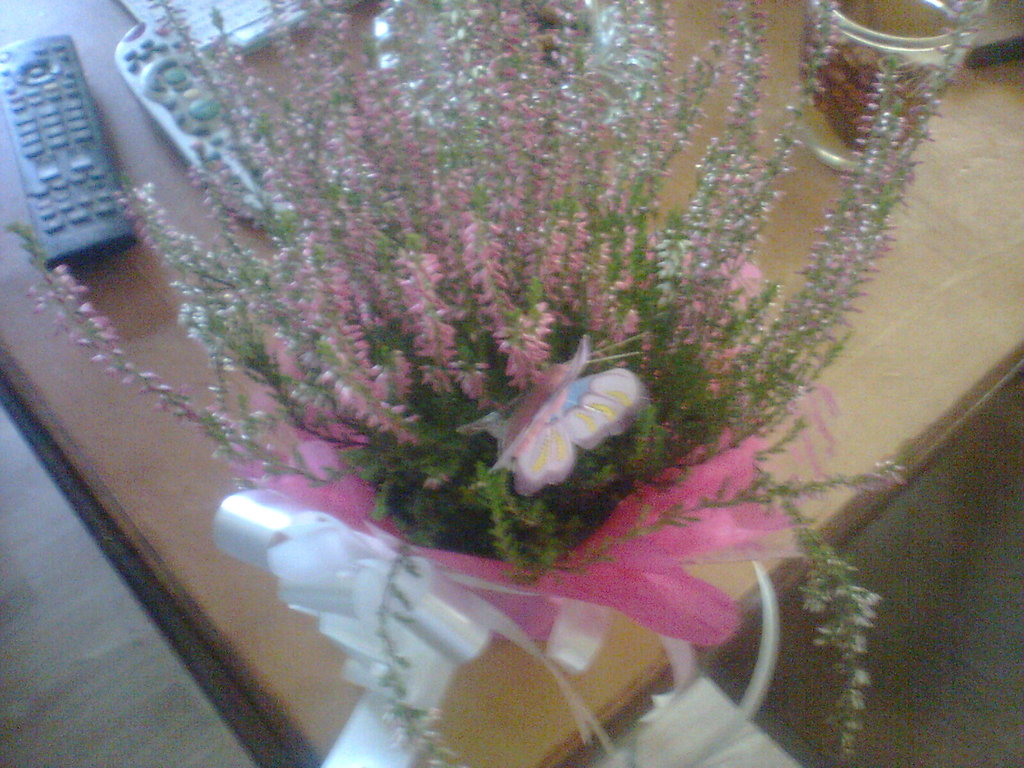 Urodzini MAMUSI ;*