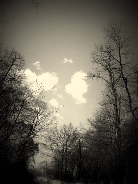 blackandwhite. ! 