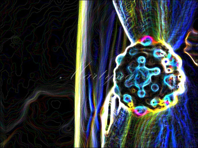1.