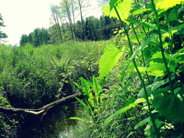 Reczka &#9829; !