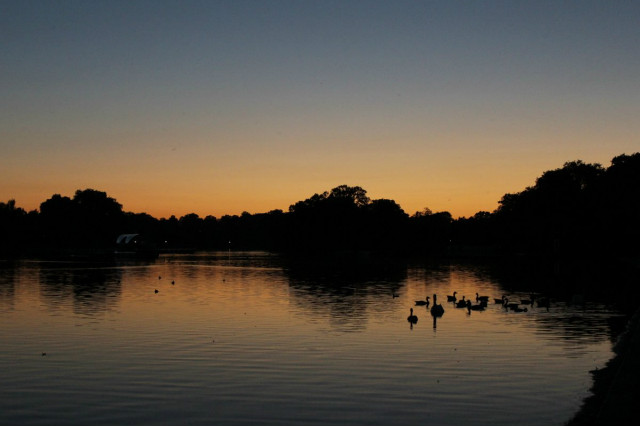 Hyde Park 