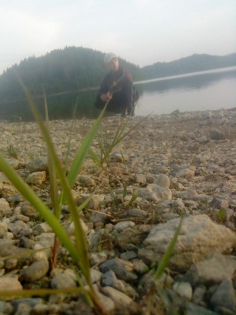 Wam:D