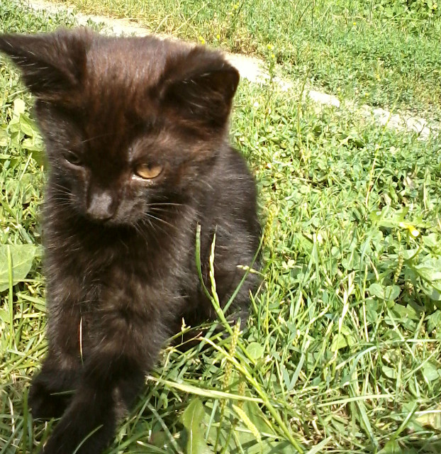 Uhuhuhuh ; *