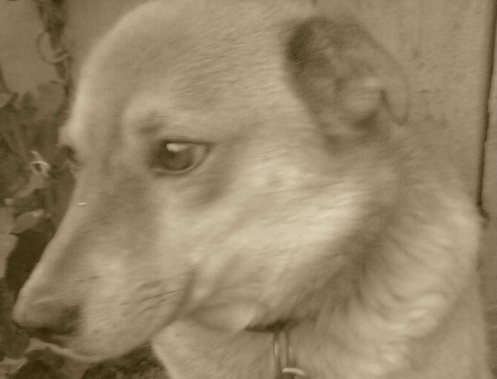 Wkur*iam sie...