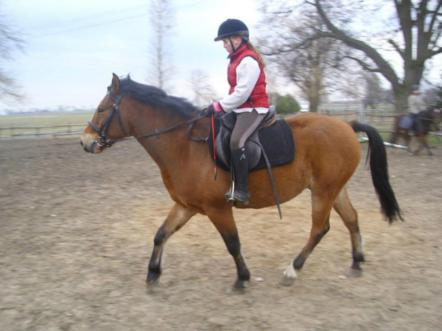 49. maximus ;( ;)