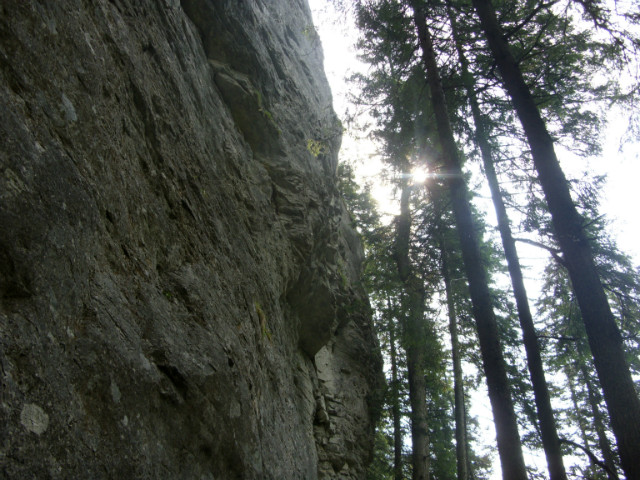 dolina kocieliska.
