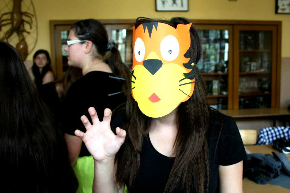 tygrysek 