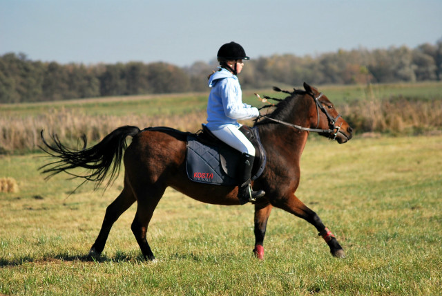 50. Tami