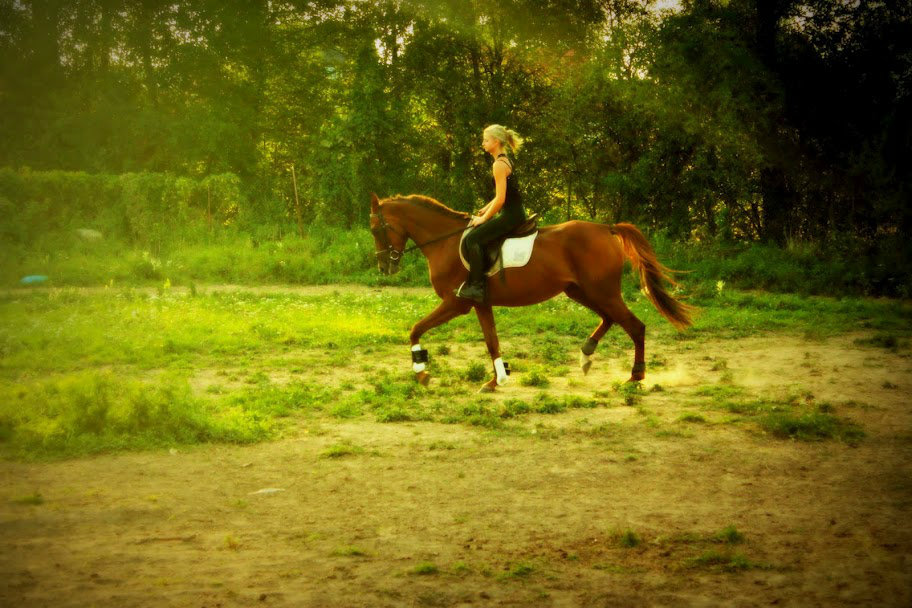 ruda
