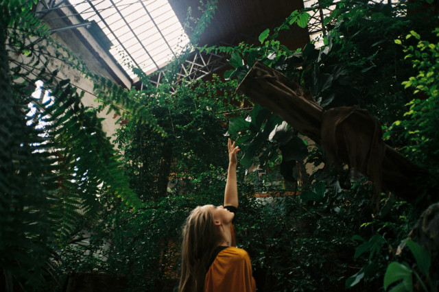 Welcome to the jungle.