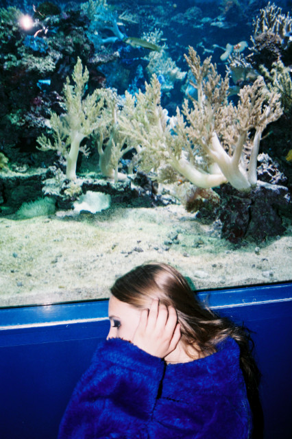 The Ocean
