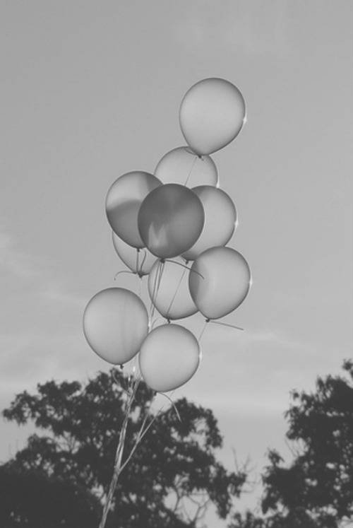 Twenty-four