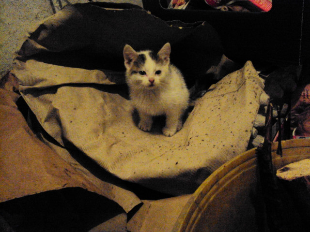 Ludzie to potwory! ;