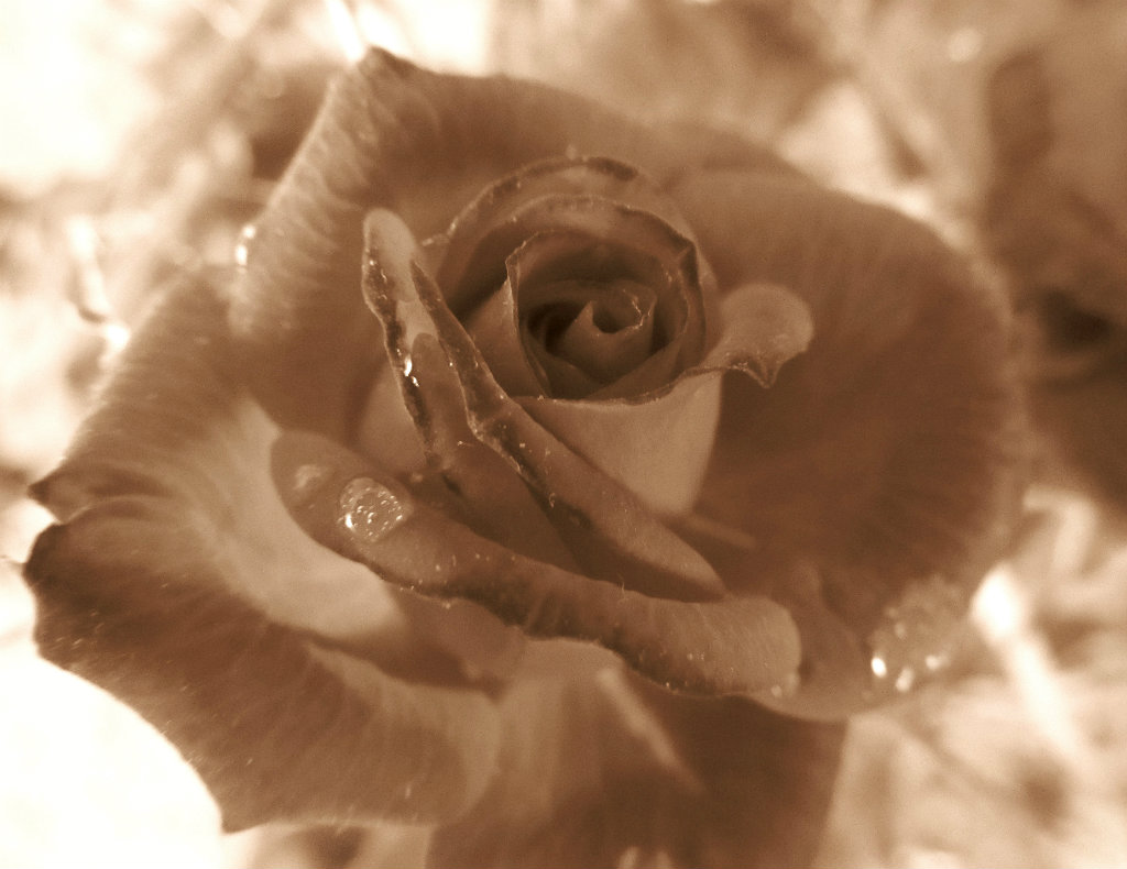 51.