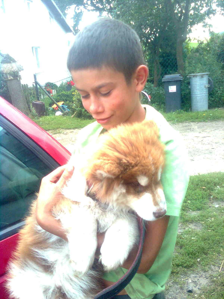Pawe.