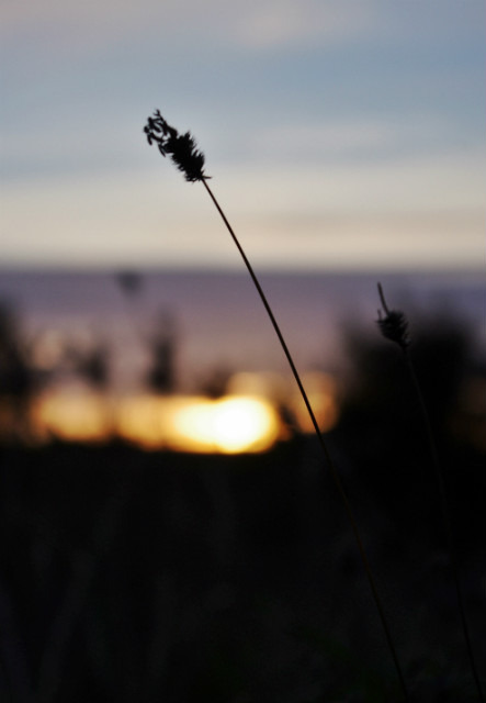 the sun will set for you