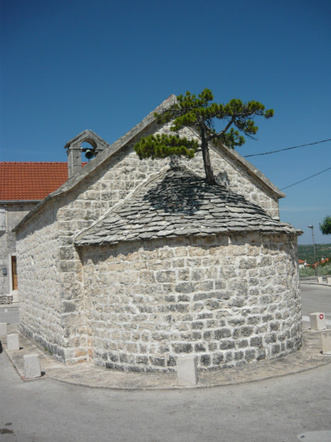 W pokoju obok mieszka Bg
