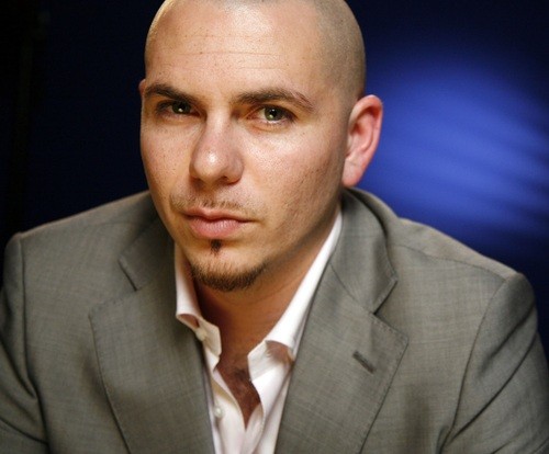 #54. Pitbull.