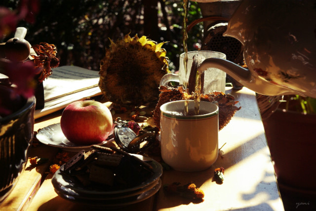 autumn wonderland.