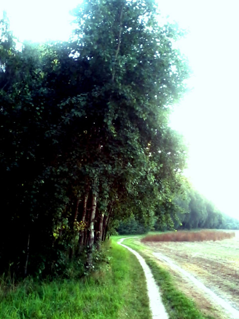 Moja natura. ; 3