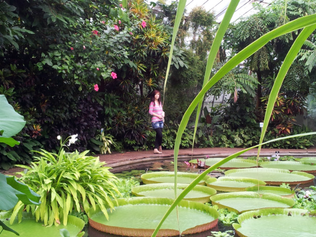 wyprawa do botanic garden
