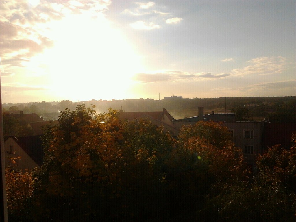 autumn