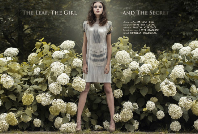 The Leaf, The Girl and The Secre