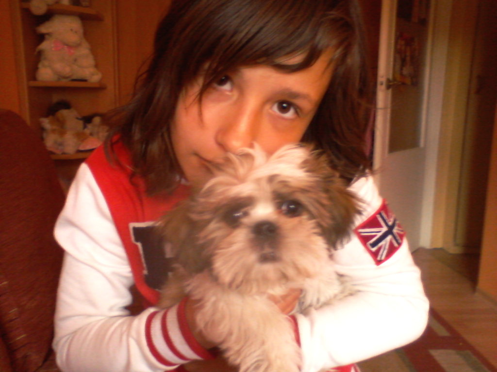 ja i mj Gizmo