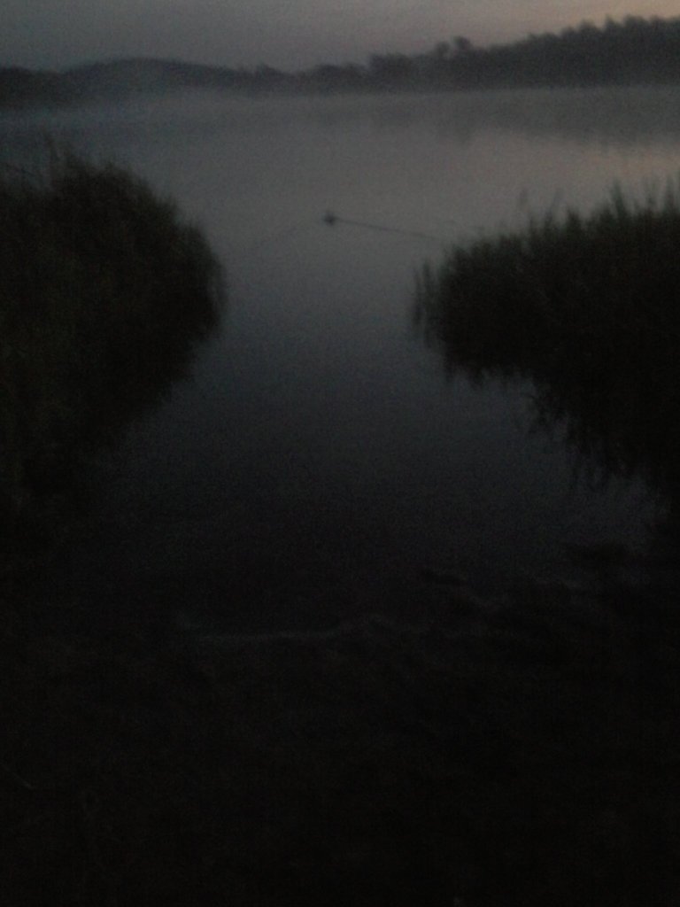 Widoki