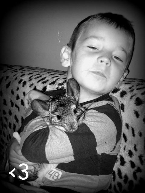 Wiktor :*