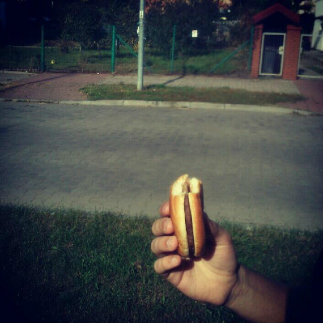 JEMY HAMBA .