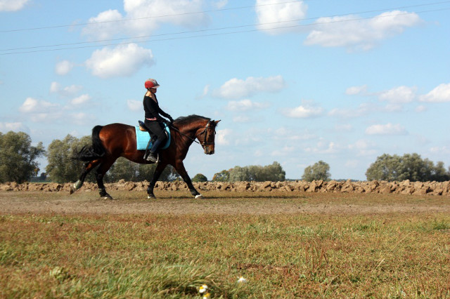 Prosiak : *
