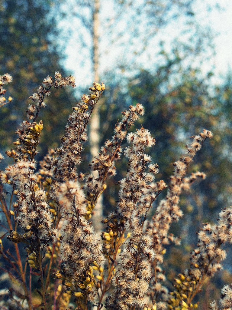 I.